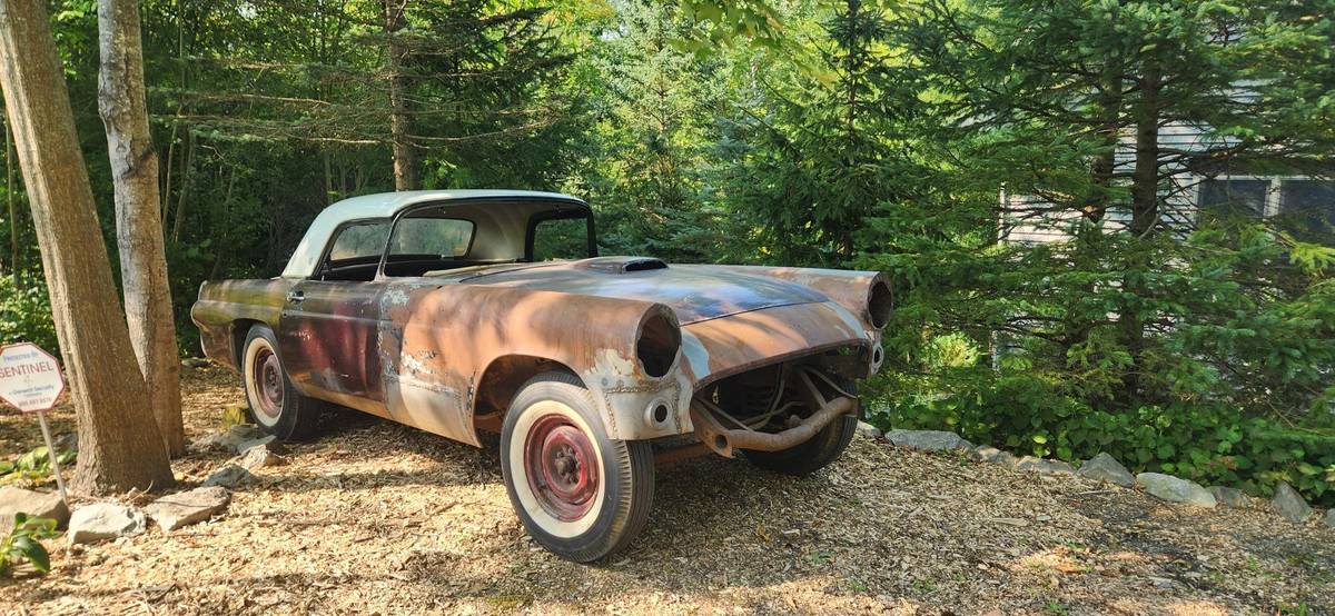 Ford-Thunderbird-1955-1