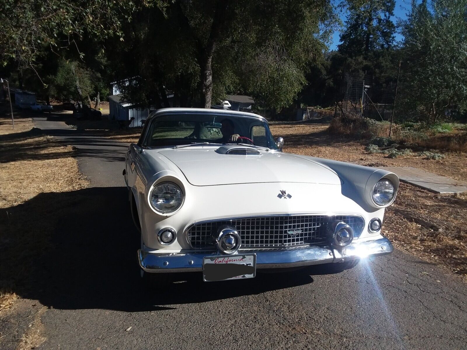 Ford-Thunderbird-1955-1