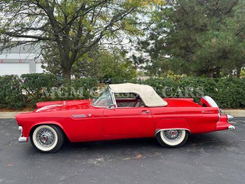 Ford-Thunderbird-1955-10