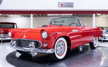 Ford-Thunderbird-1955-14