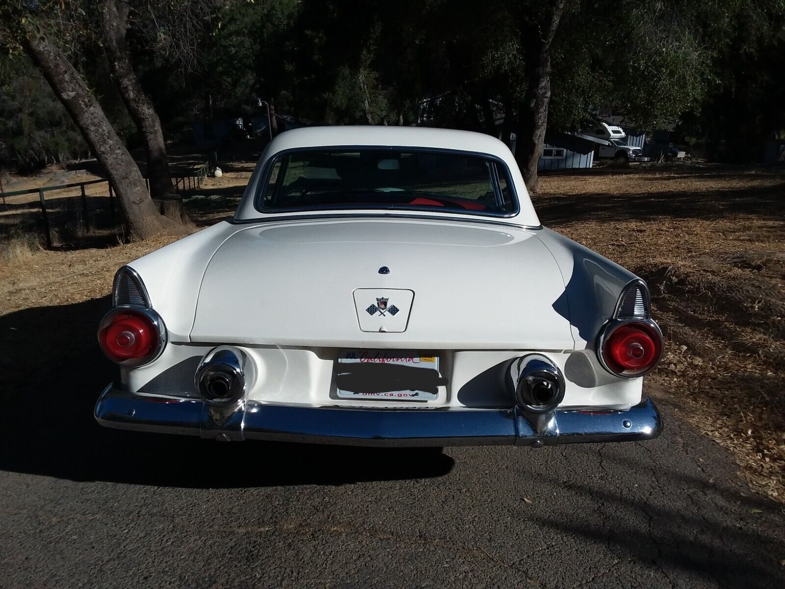 Ford-Thunderbird-1955-16