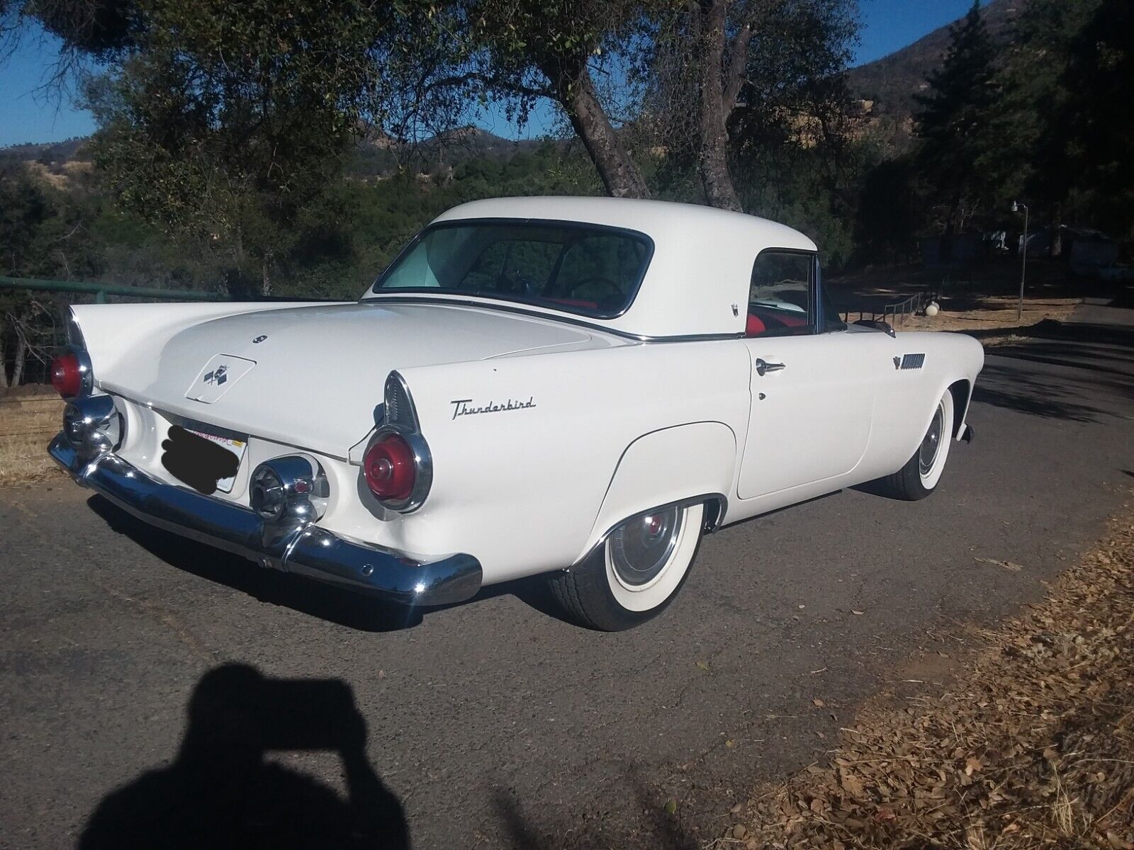 Ford-Thunderbird-1955-22