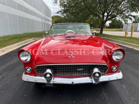 Ford-Thunderbird-1955-23