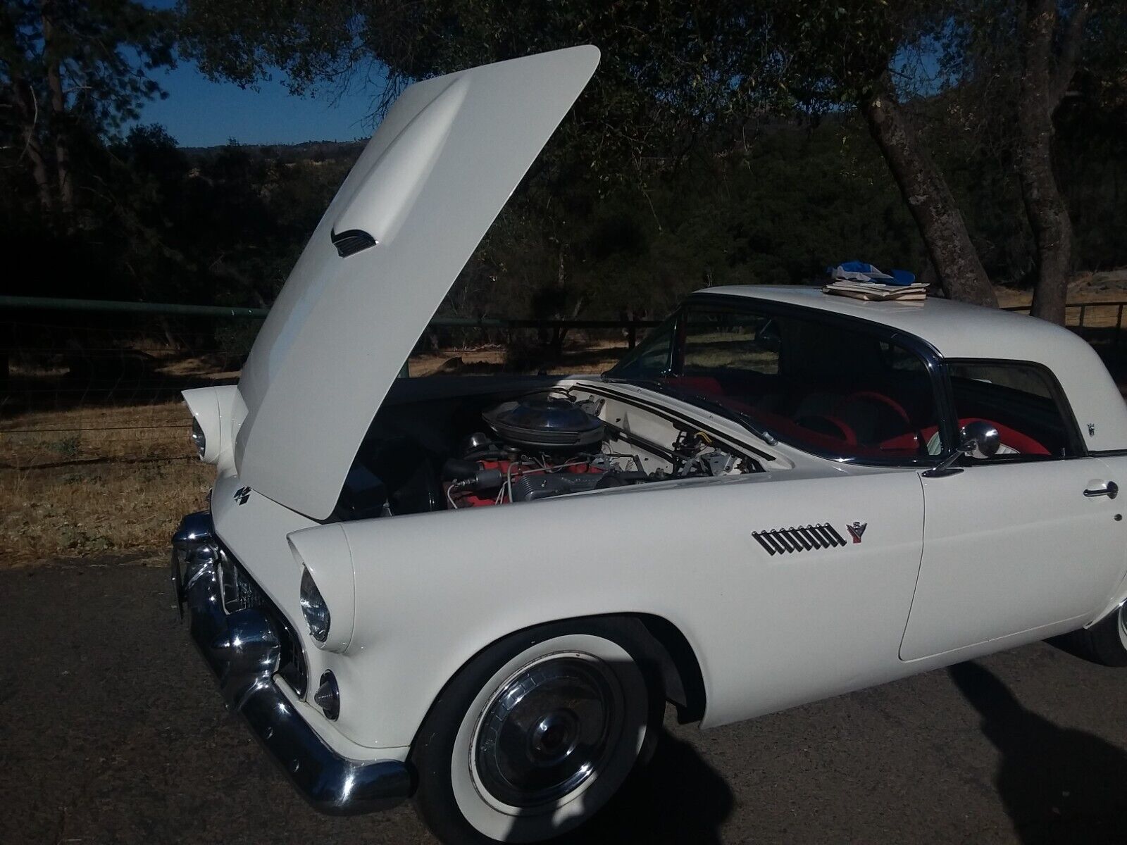 Ford-Thunderbird-1955-28