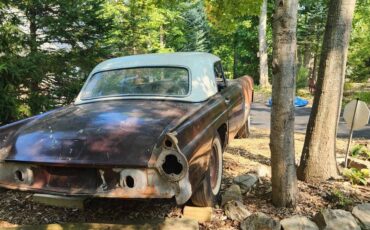 Ford-Thunderbird-1955-3