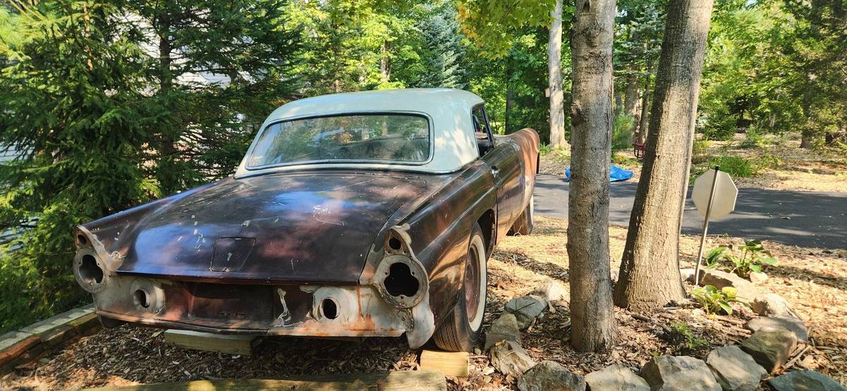 Ford-Thunderbird-1955-3