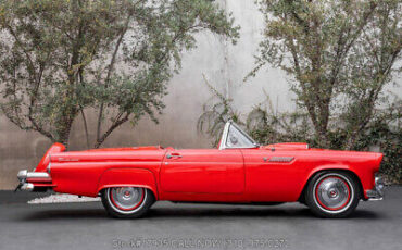 Ford-Thunderbird-1955-3