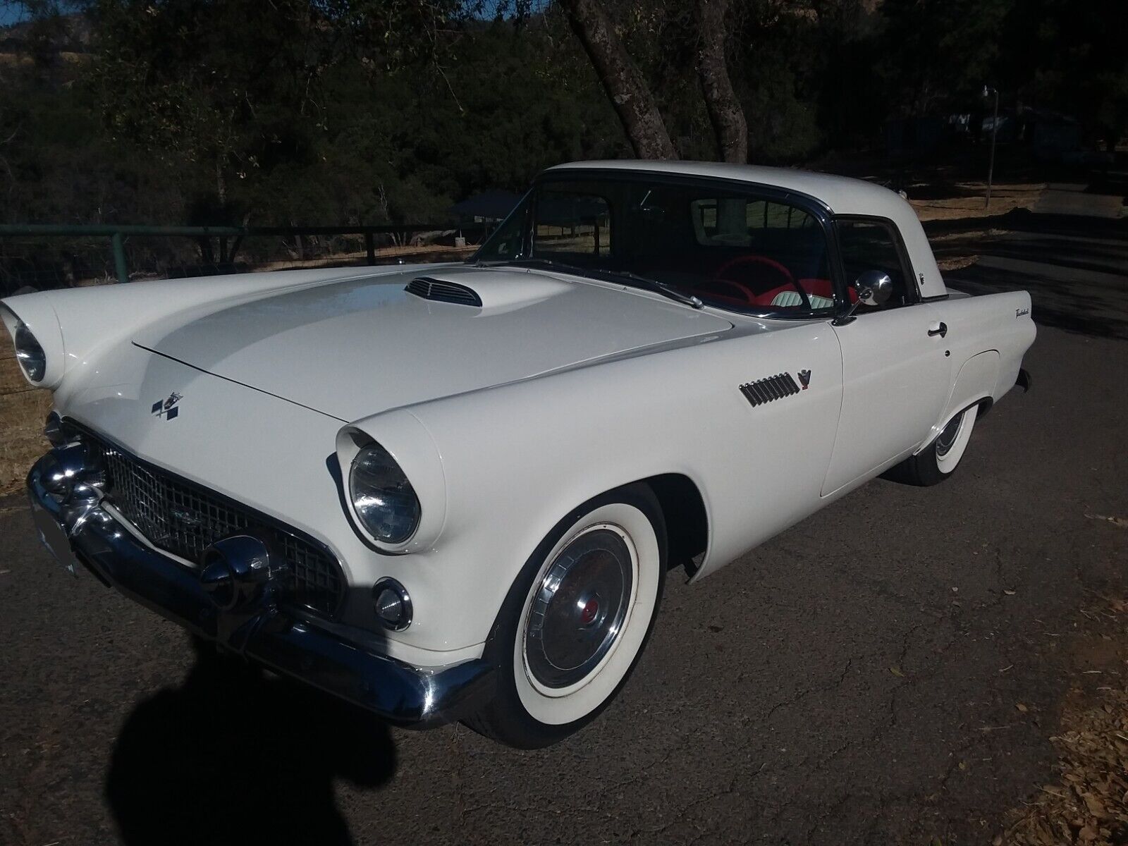 Ford-Thunderbird-1955-3