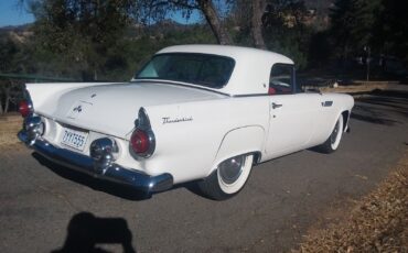 Ford-Thunderbird-1955-31