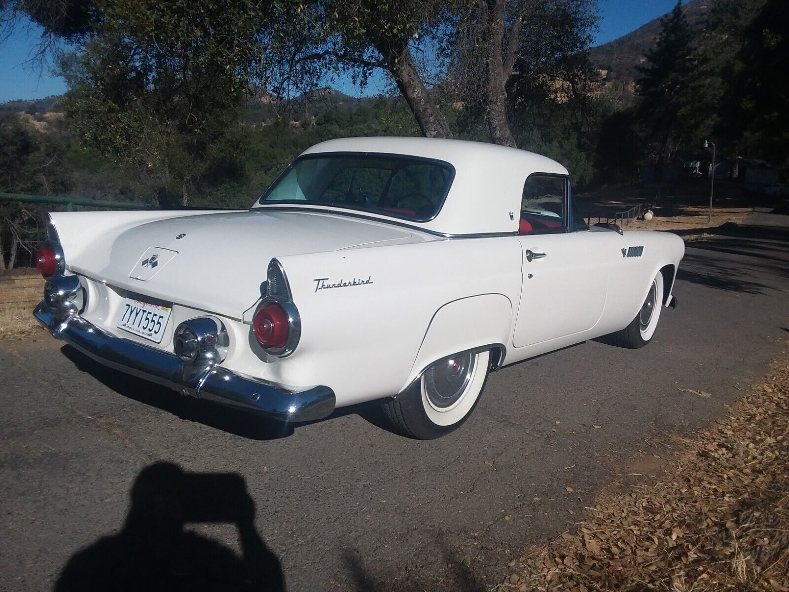 Ford-Thunderbird-1955-31