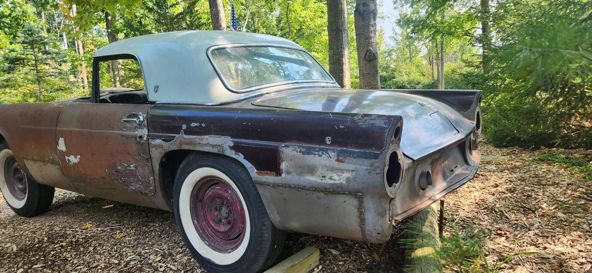 Ford-Thunderbird-1955-4