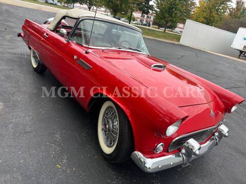 Ford-Thunderbird-1955-5