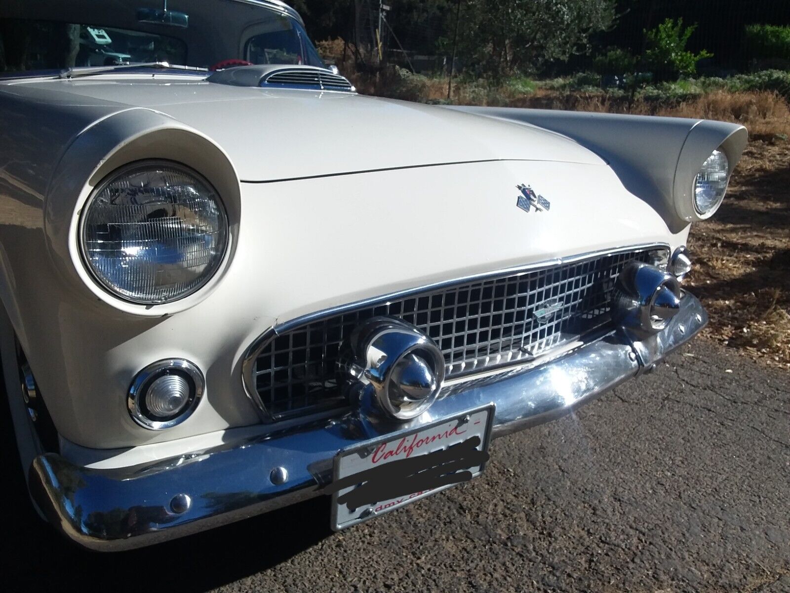 Ford-Thunderbird-1955-6