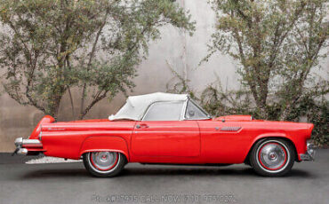 Ford-Thunderbird-1955-9