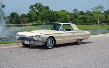 Ford Thunderbird  1964