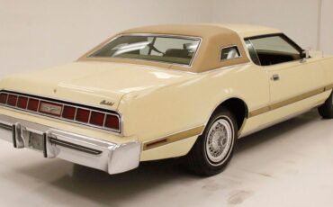 Ford-Thunderbird-1976-5