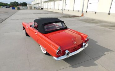 Ford-Thunderbird-Cabriolet-1955-9