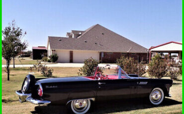 Ford Thunderbird Cabriolet 1956