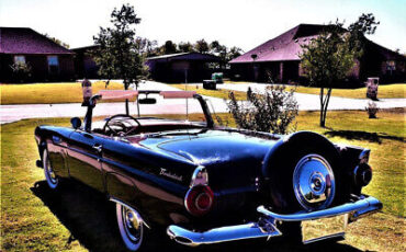 Ford-Thunderbird-Cabriolet-1956-4