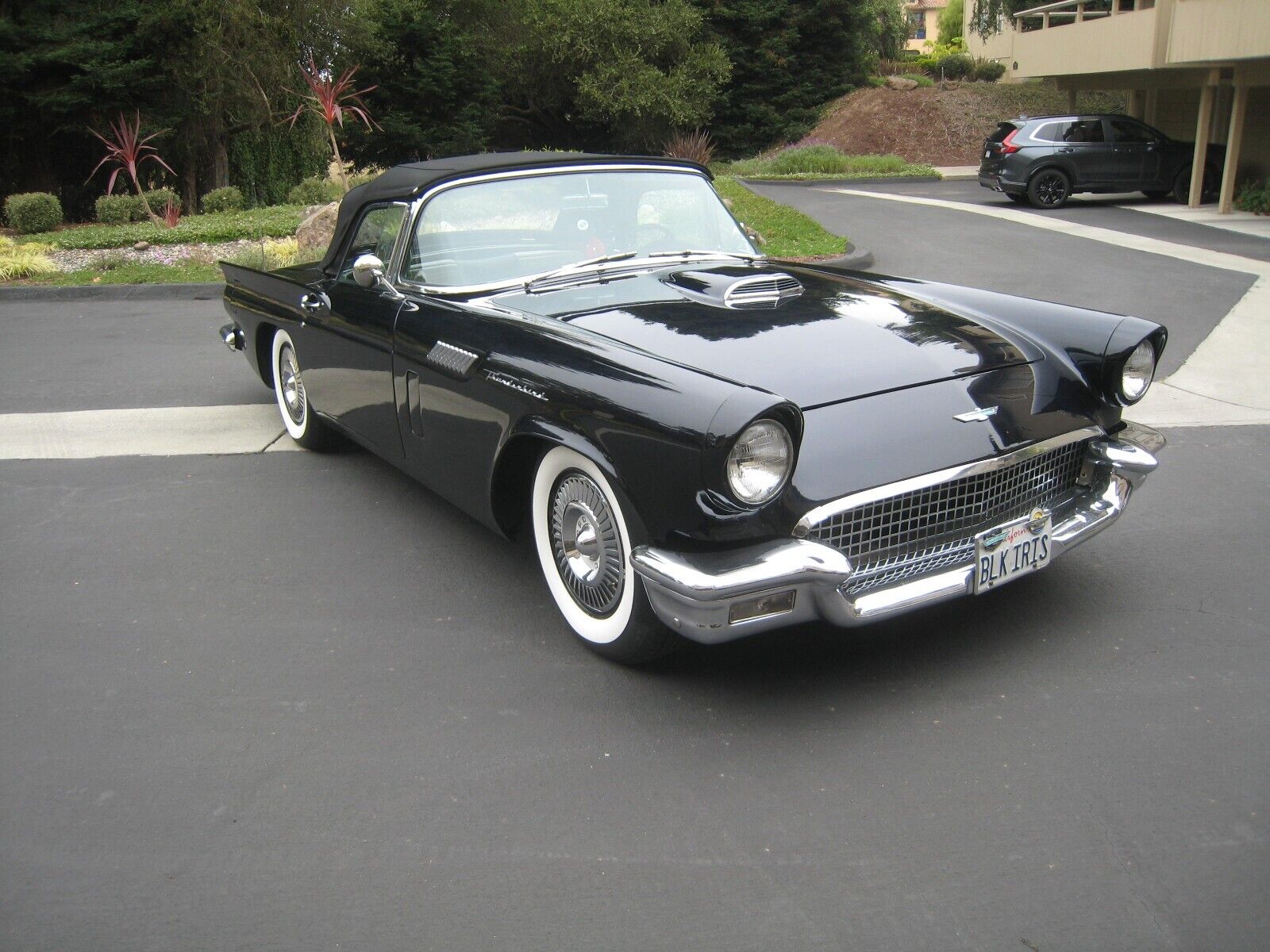 Ford-Thunderbird-Cabriolet-1957-7