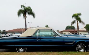 Ford-Thunderbird-Cabriolet-1965-10