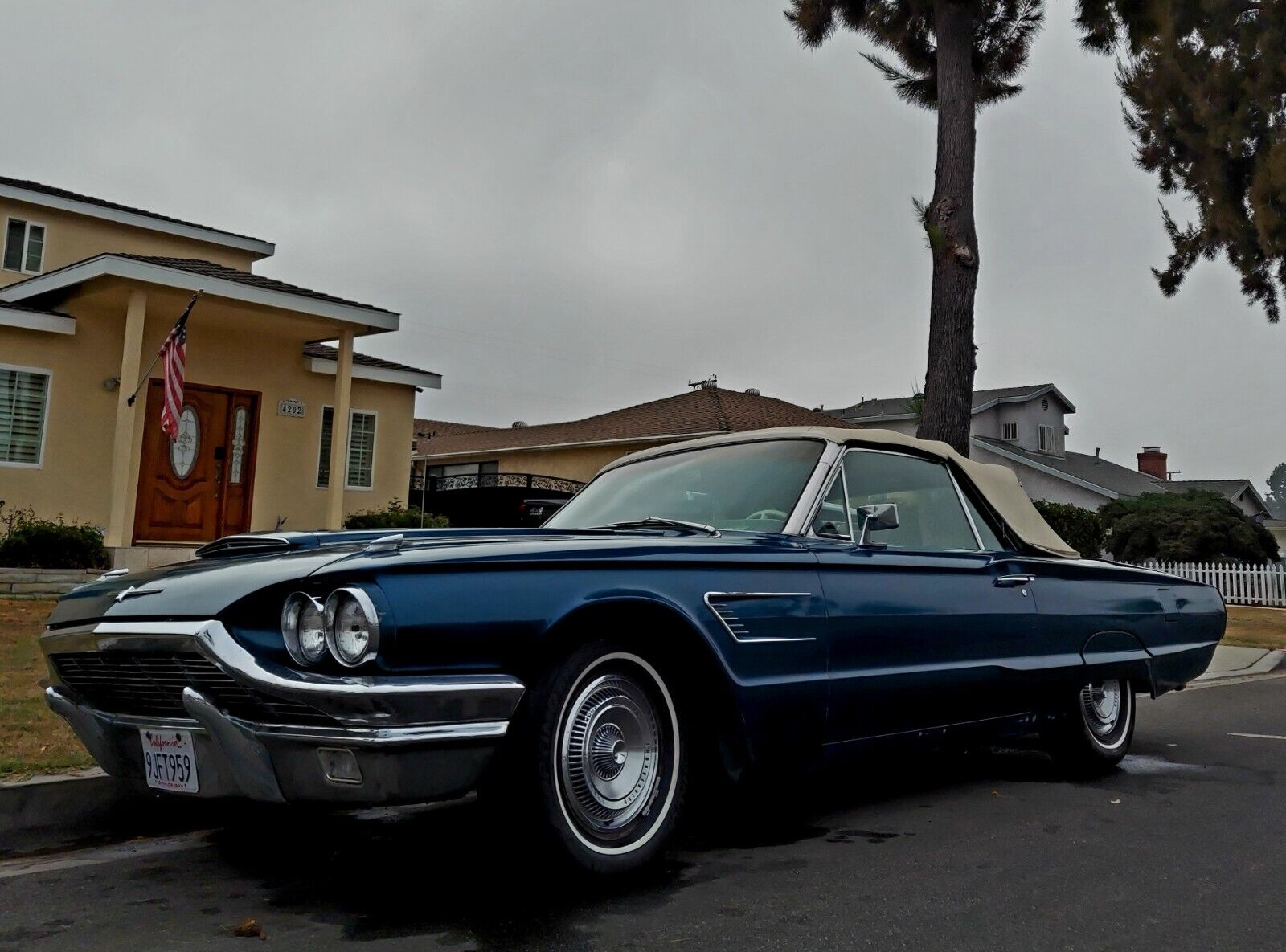 Ford-Thunderbird-Cabriolet-1965-16