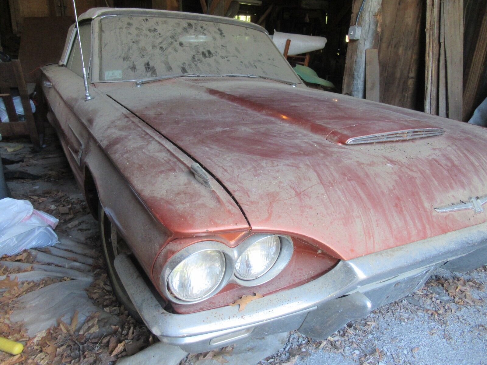 Ford-Thunderbird-Cabriolet-1965-3