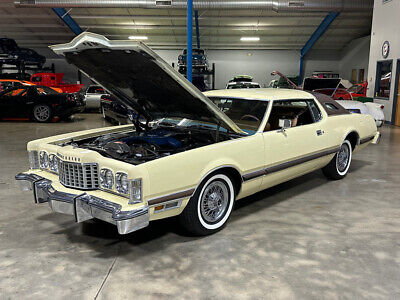 Ford-Thunderbird-Cabriolet-1976-8