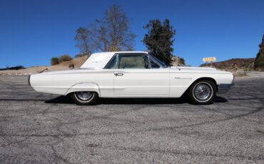 Ford-Thunderbird-Coupe-1964-2