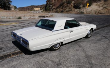 Ford-Thunderbird-Coupe-1964-3