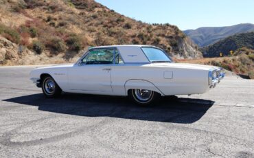 Ford-Thunderbird-Coupe-1964-5