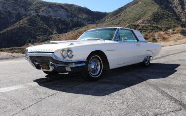 Ford-Thunderbird-Coupe-1964-6