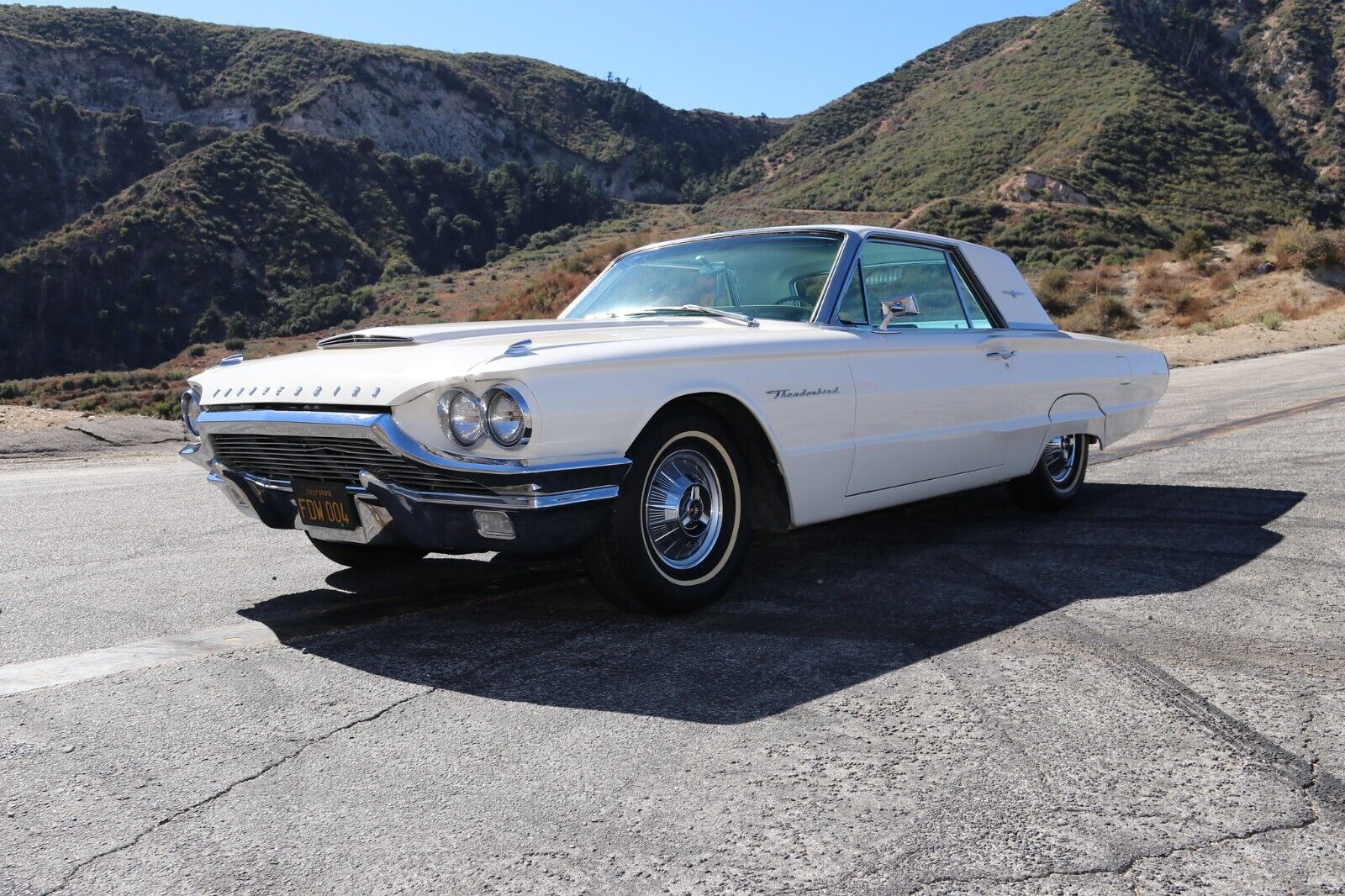 Ford-Thunderbird-Coupe-1964-6