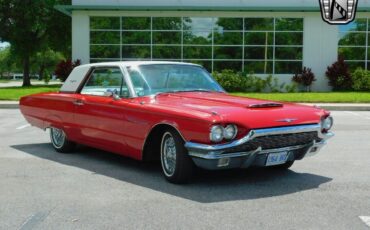 Ford-Thunderbird-Coupe-1964-8