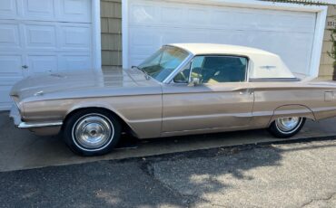 Ford-Thunderbird-Coupe-1966-1