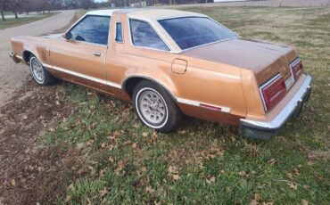 Ford-Thunderbird-Coupe-1979-2