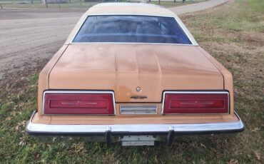 Ford-Thunderbird-Coupe-1979-3