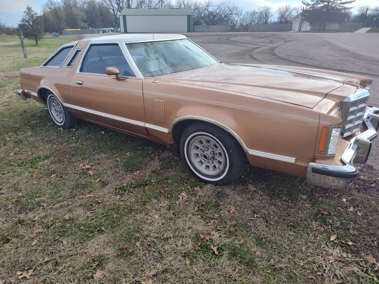 Ford-Thunderbird-Coupe-1979-5