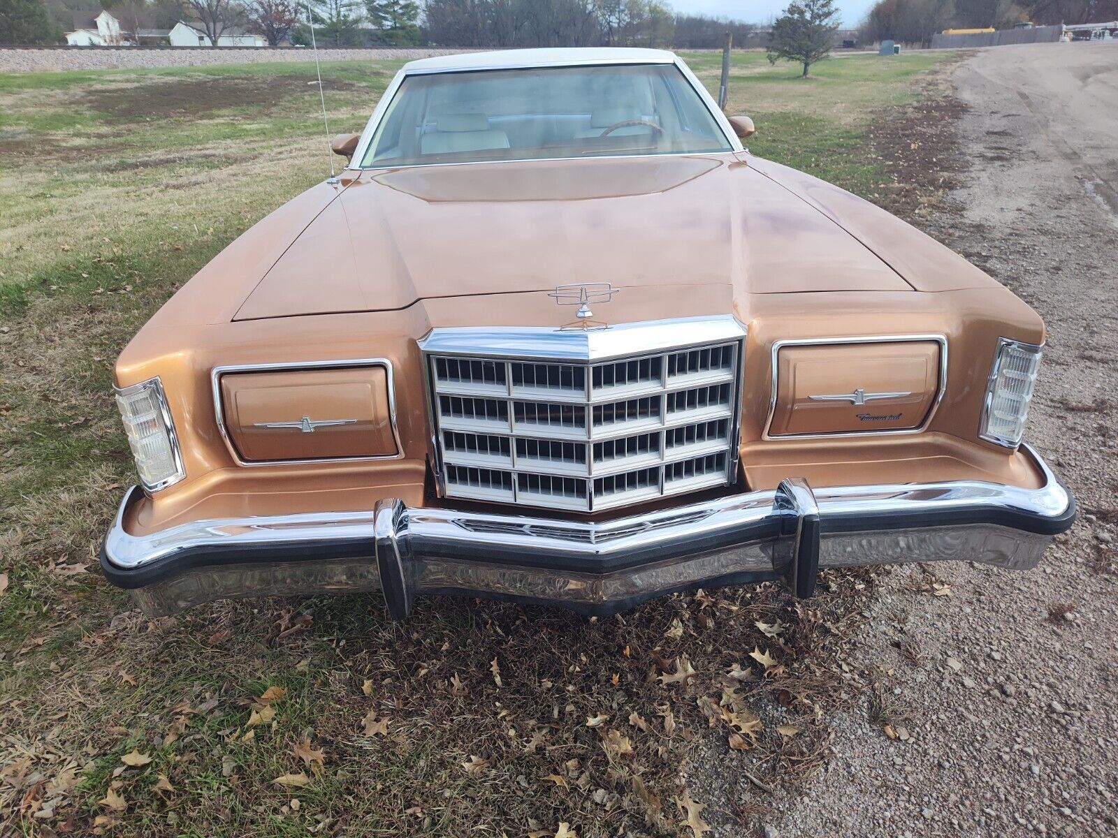 Ford-Thunderbird-Coupe-1979-7