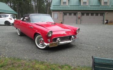 Ford-Thunderbird-convertible-1955-6