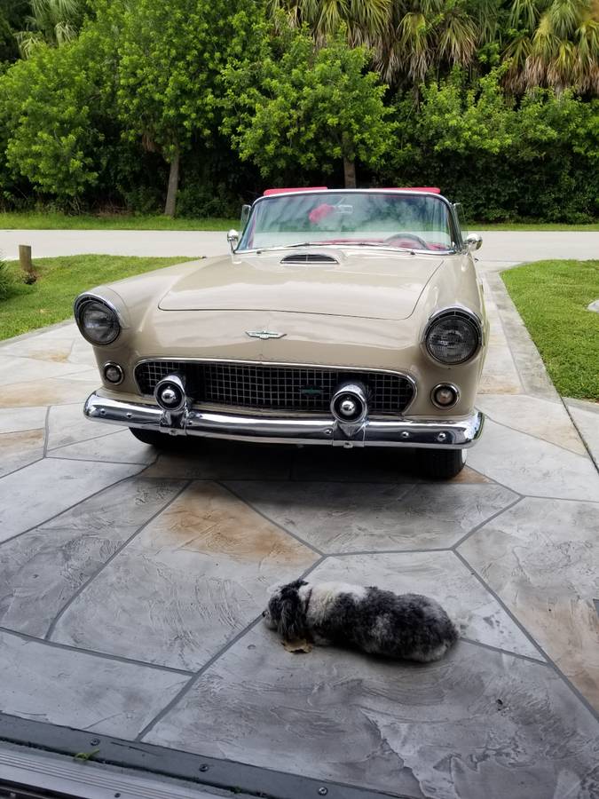 Ford-Thunderbird-convertible-1955-9