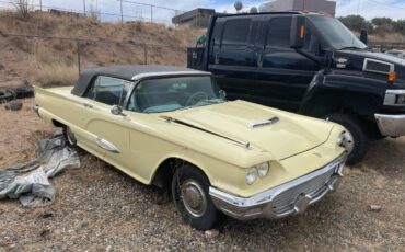 Ford-Thunderbird-convertible-1959