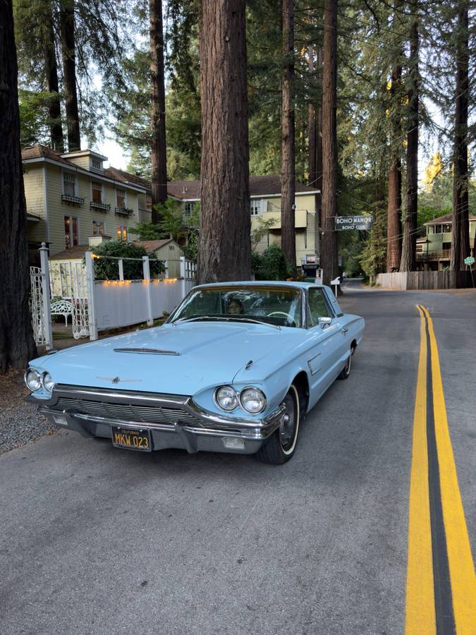 Ford-Thunderbird-coupe-1965-10