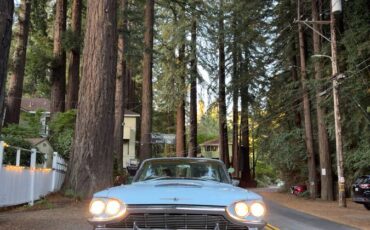 Ford-Thunderbird-coupe-1965-2