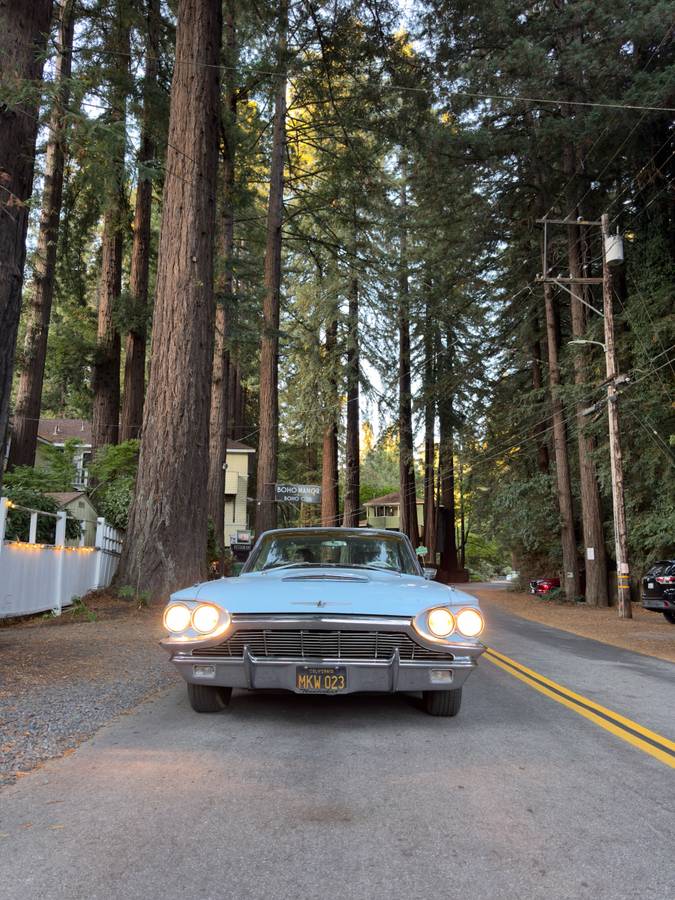 Ford-Thunderbird-coupe-1965-2