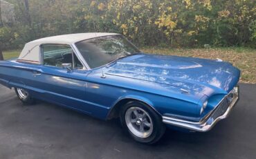 Ford-Thunderbird-deluxe-1966-7