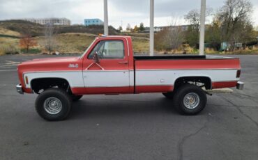 GMC-12-Ton-Pickup-1978-1