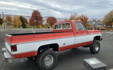 GMC-12-Ton-Pickup-1978-5