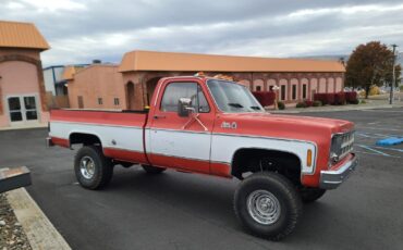 GMC-12-Ton-Pickup-1978-6