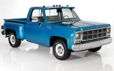 GMC-Pickup-Pickup-1979-5